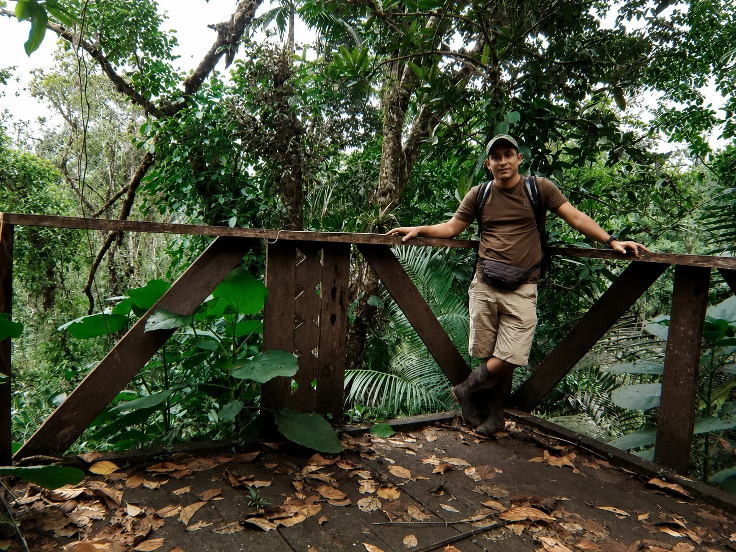 Mirador sobre la selva